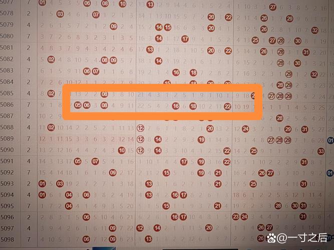 今期看中二六九正确答案是什么,今期看中二六九正确答案是什么意思