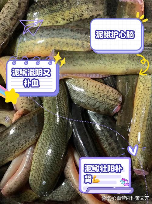 泥鳅打一生肖最佳答案,泥鳅打一生肖最佳答案是什么