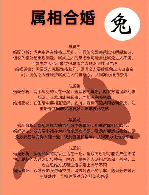 生肖兔和什么生肖最配和相克,生肖兔和什么生肖最配和相克相冲