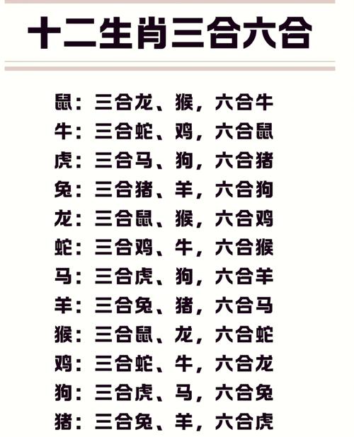 二三合数定今期是指什么生肖,二三合数今期开,一六不分今期来打一生肖