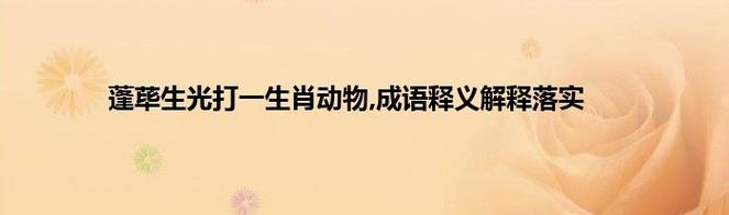 关于“站在高处，带点傲气。睥睨天下靠离地”打一动物生肖的信息