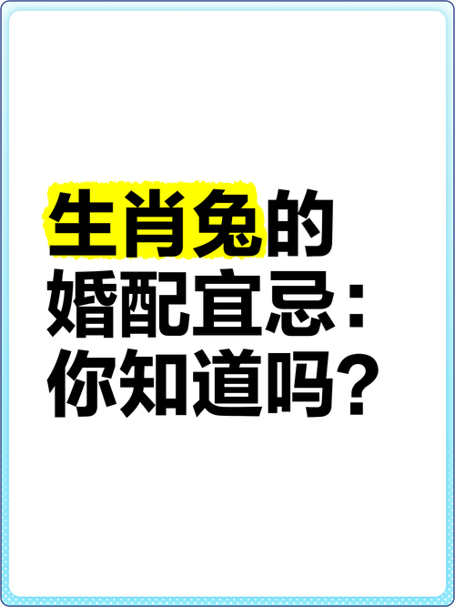 兔配什么生肖最好婚姻,兔配什么生肖是最好的婚