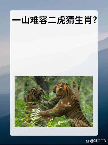 右打一生肖,无不其右打一生肖