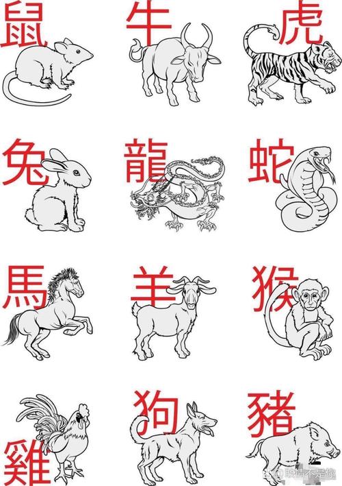应天顺时打一生肖动物,十二生肖有哪些动物图片