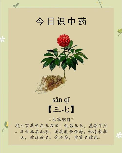 三七出特今期来最佳答案是什么的简单介绍