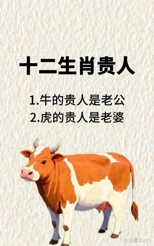 什么生肖最看不起没本事的人,什么生肖最看不起没本事的人呢