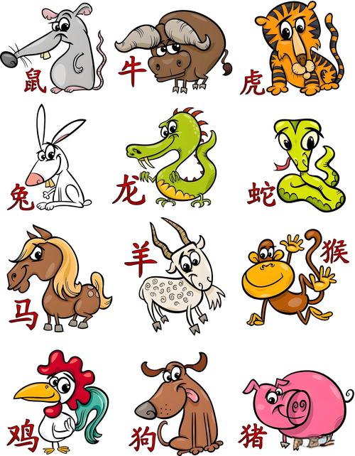 生龙活虎打一生肖是牛吗,生龙活虎的动物是什么生肖