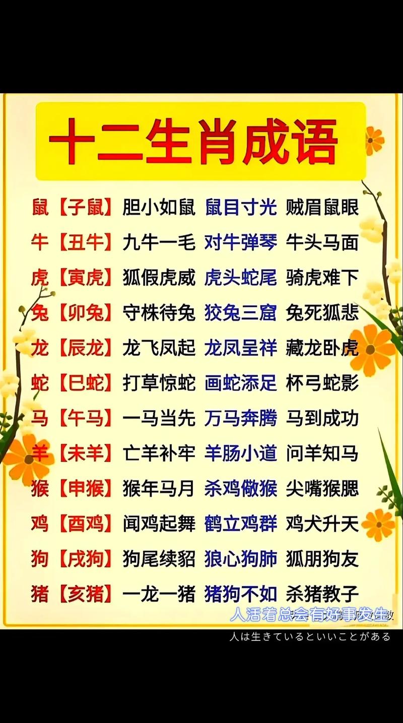 “率性任意”是什么生肖动物的简单介绍