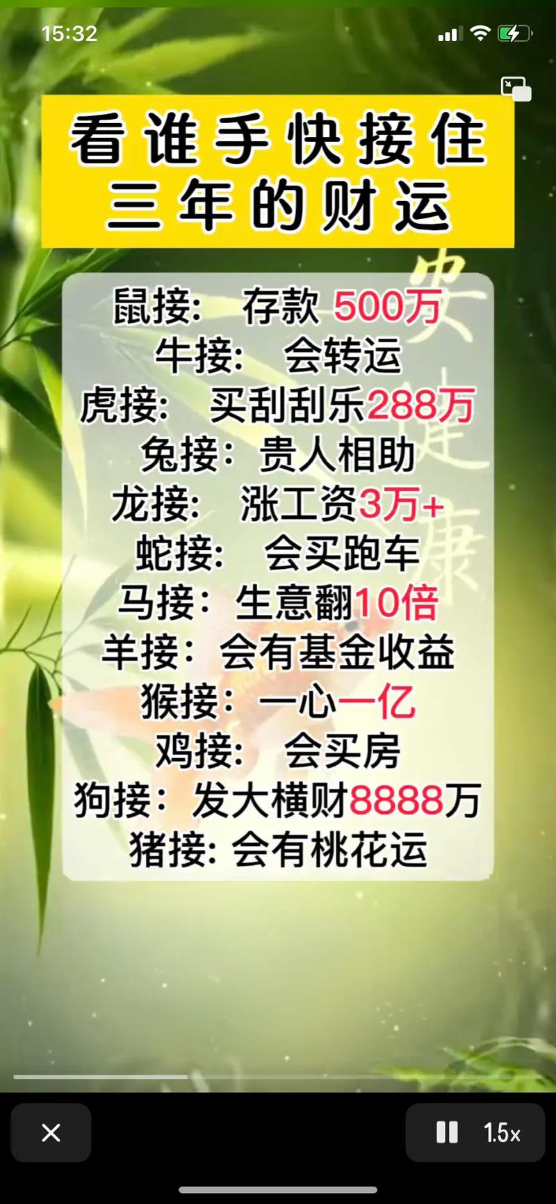 钱打一生肖数字,钱打一生肖是什么