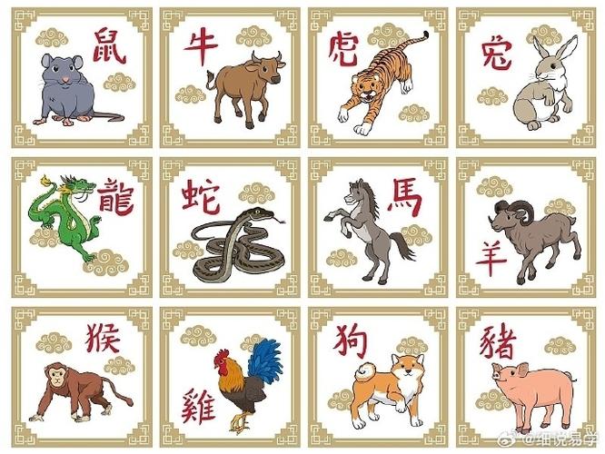 什么生肖充满活力,什么生肖充满活力的动物