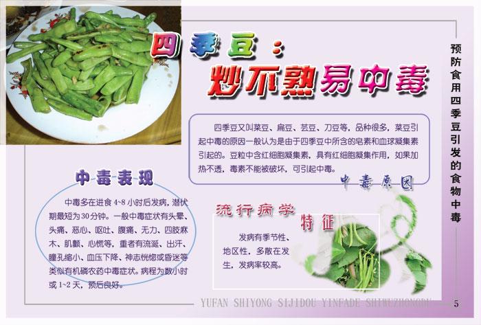 关于“豆芽炒鸡毛”打一正确的生肖的信息