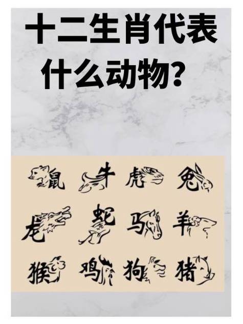 命根代表什么生肖和动物,命根代表什么生肖和动物有关