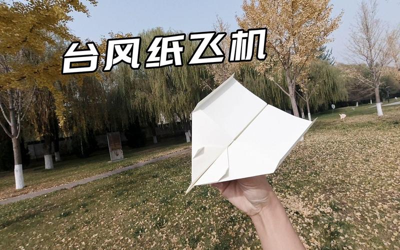 纸飞机查询个人信息,纸飞机查询个人信息是真的吗
