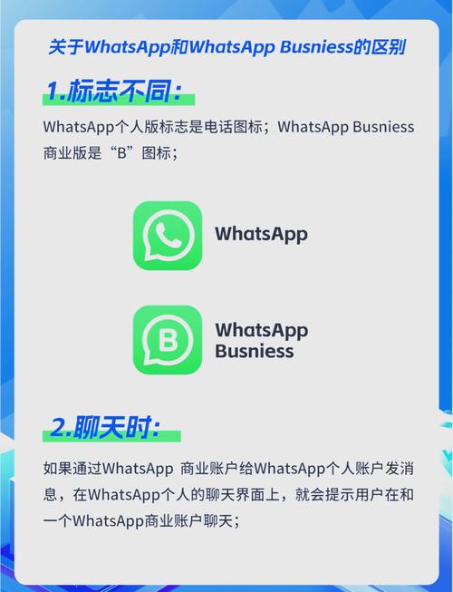 包含whatsapp是什么公司的的词条