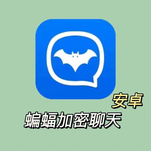 蝙蝠安全聊天软件下载,蝙蝠安全聊天软件下载官网