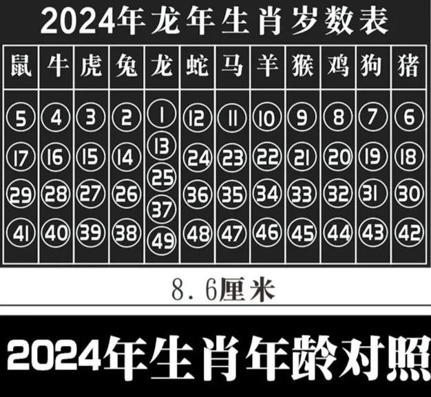 码中码代表哪个生肖,码中码还是码是一个数字