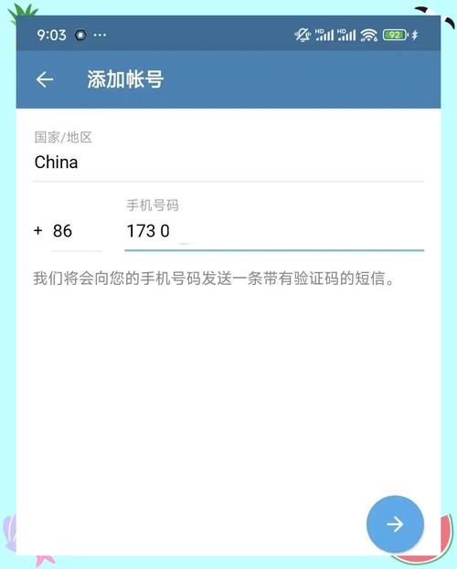 纸飞机tg中文版,纸飞机TG中文版破解