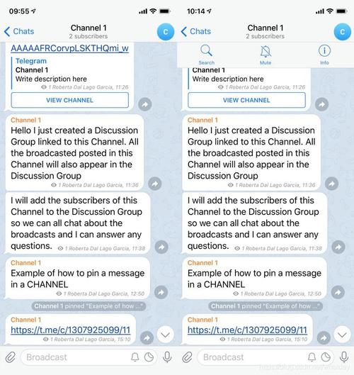 telegeram颜色群,telegram@sedanai
