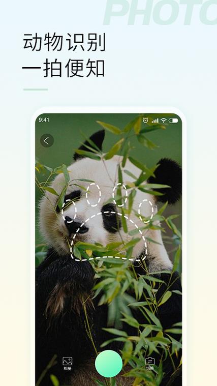 手机爬虫网站,手机爬虫app