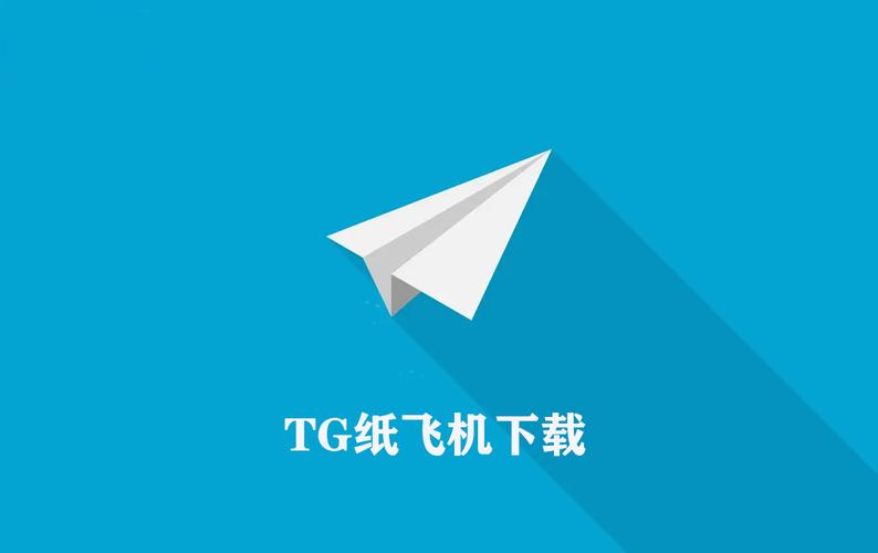 飞机中文版官网下载安装,飞机中文版官网下载安装最新