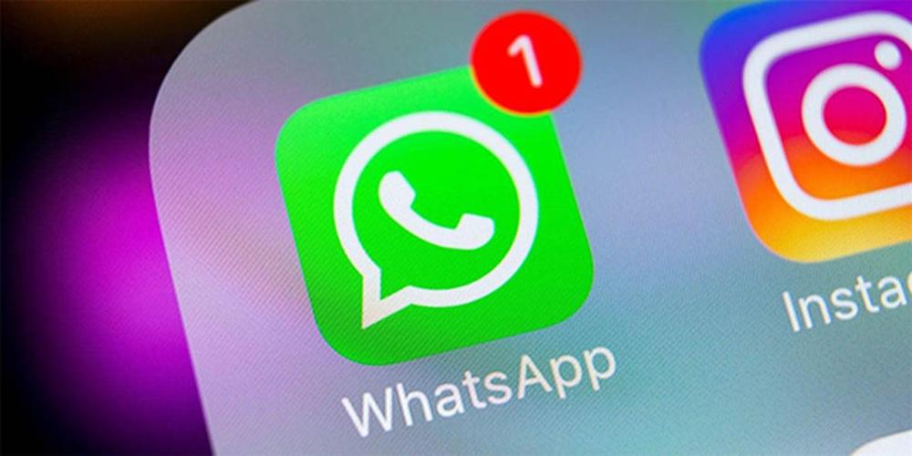 whatsapp安卓免费下载,whatsapp安卓免费下载最新版