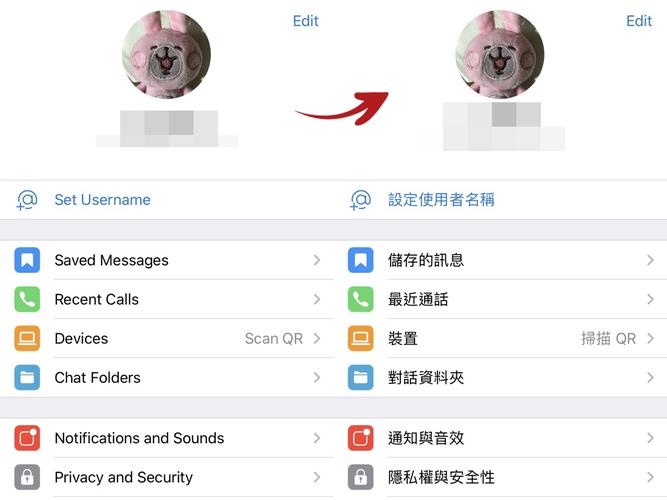 telegraph登录入口,电报telegraph官网入口