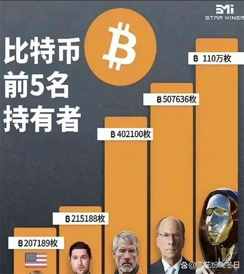比特现金美元,比特美元是什么意思
