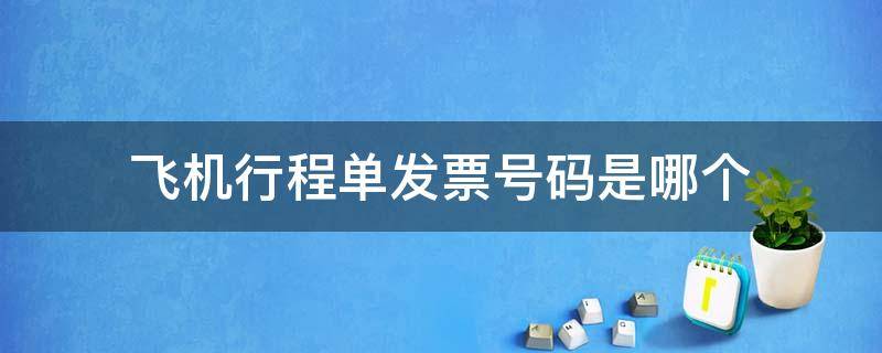 飞机手机号为什么登不上去-飞机手机号为什么登不上去了