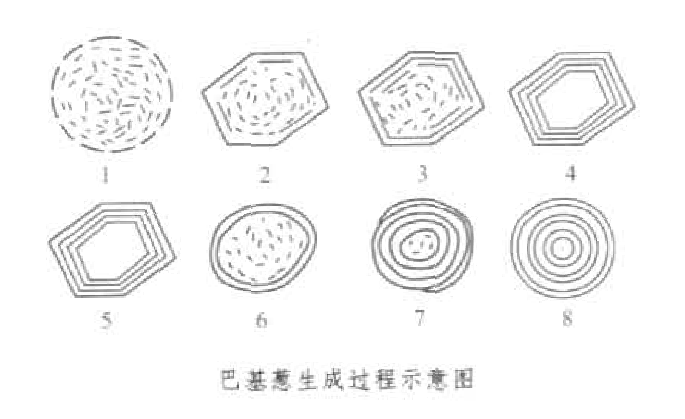 洋葱vp加速器下载-洋葱vp 加速器破解版