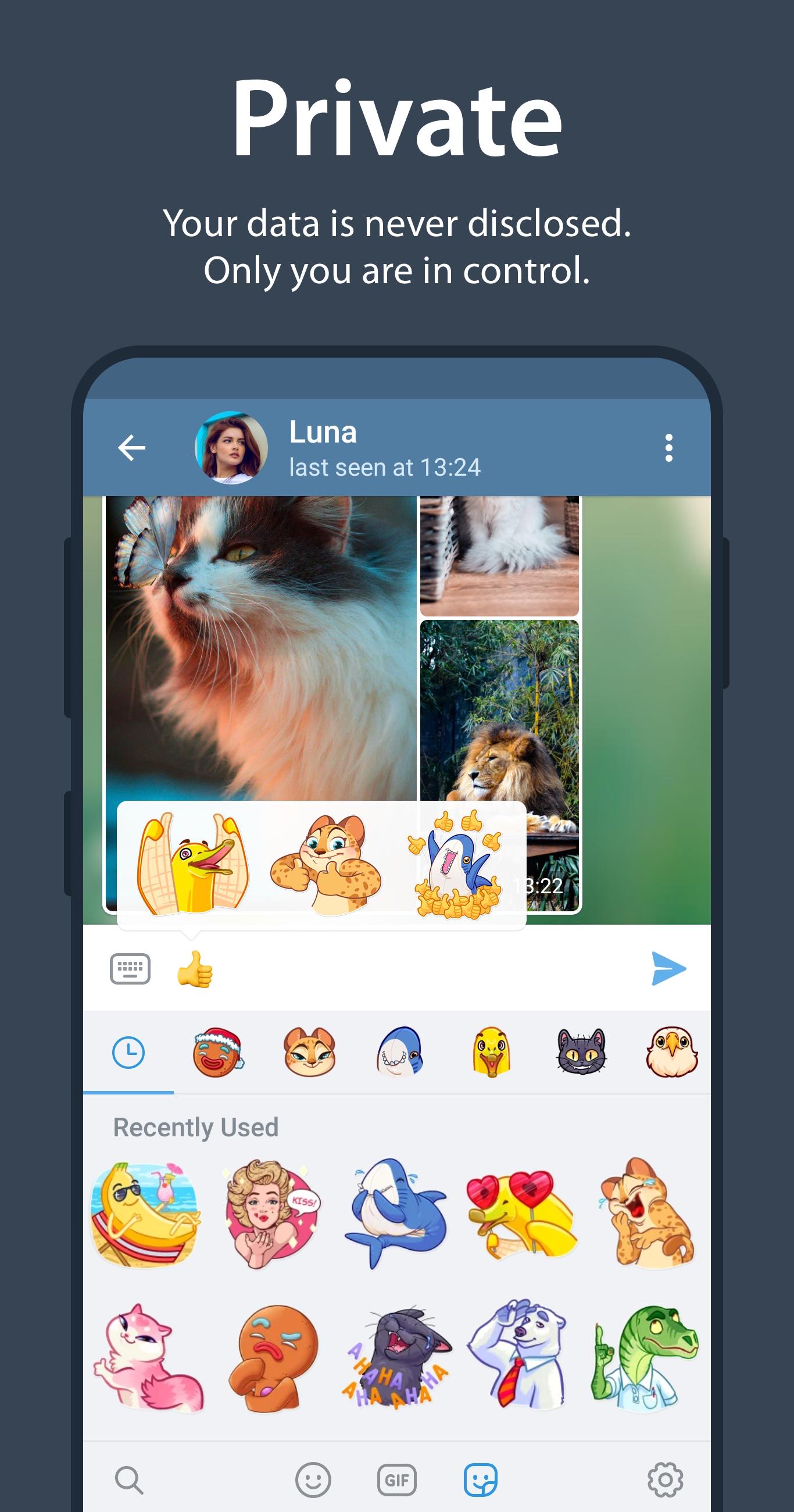 telegtam下载-instagram官方下载