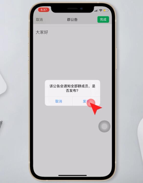 关于telegeram怎么查看群主的信息
