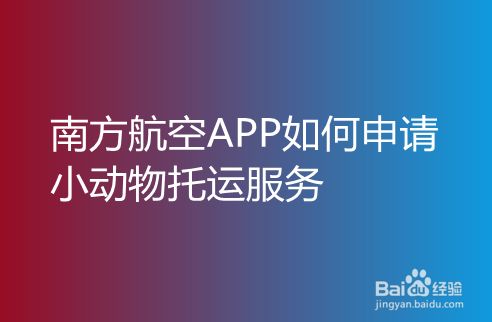飞机APP代理怎么弄-飞机app代理怎么弄出来