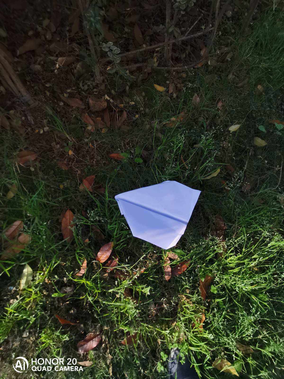 纸飞机怎么登录不了-纸飞机为什么登录不了