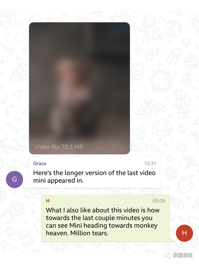 telegeram怎么找老板对接的简单介绍