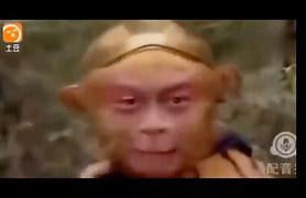 猴子电报员无消音-电报猴原视频没有电音