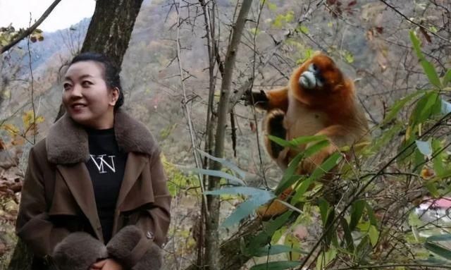 猴哥的电报声-电报猴原视频无消音