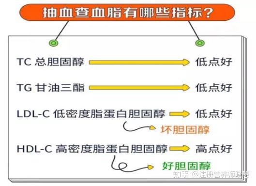 TG高于多少称为高血脂-成人TC高于多少称为高血脂