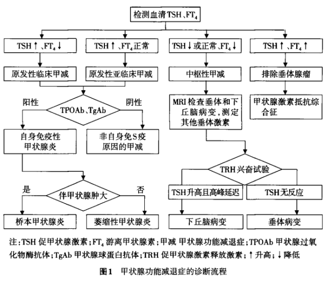 TG-Ab正常值-TGAB正常值有的医院115有的4