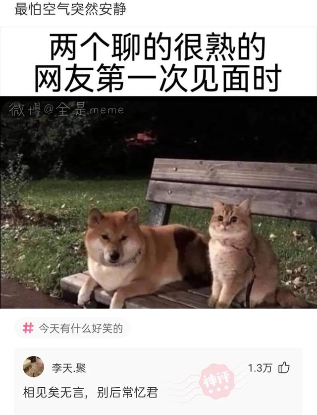 包含电报猴子骂人原视频无消音的词条