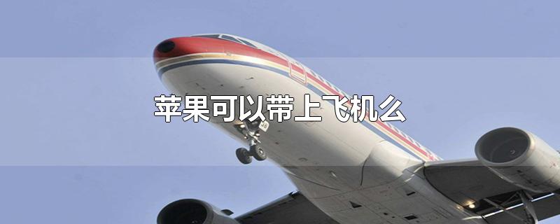 苹果怎么下载飞机中文版-苹果怎么下载飞机聊天软件