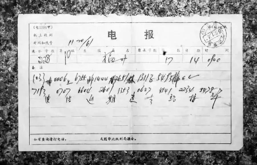 电报猴原视频真实台词的简单介绍