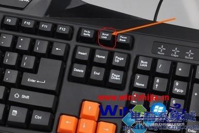 电报按键功能-电报按键功能是什么
