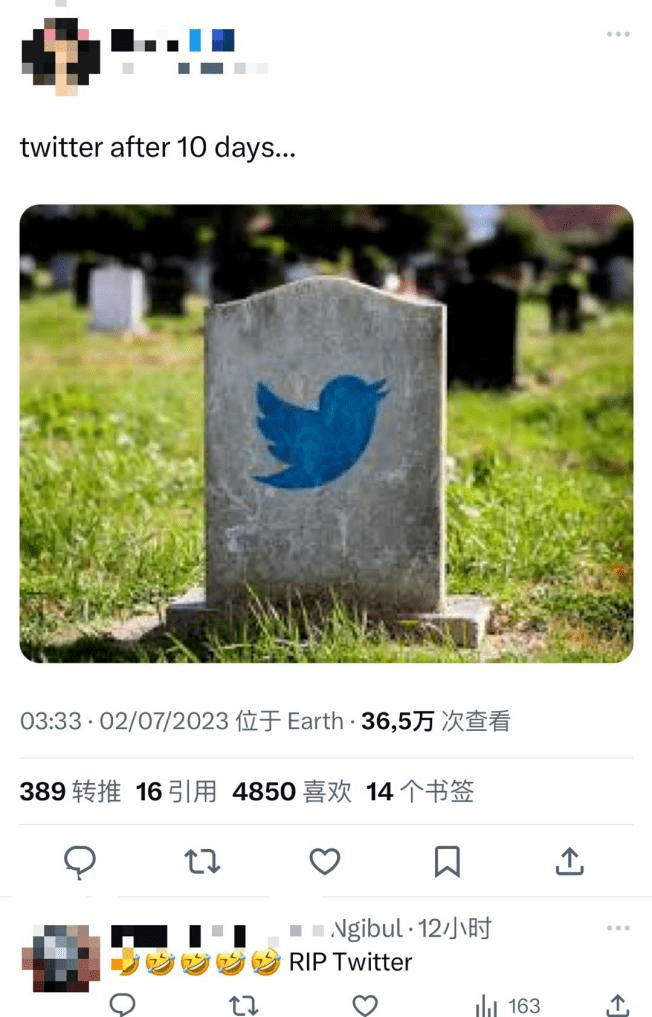 蓝鸟和电报是什么意思-蓝鸟twitter下载