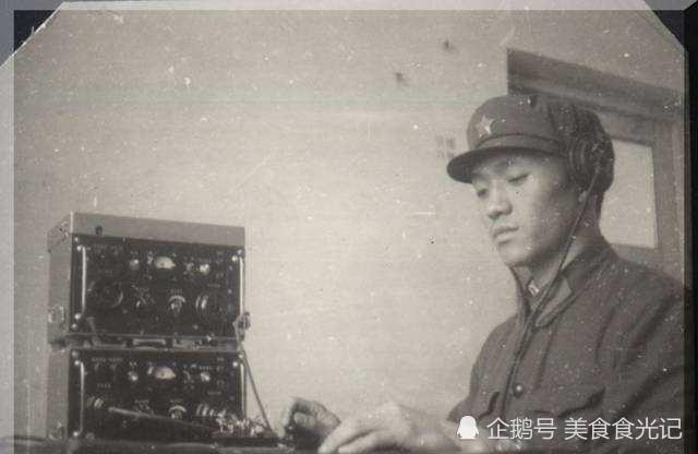 发电报是什么意思-猫咪对主人发电报是什么意思