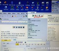 纸飞机汉化输入ch_-纸飞机中文包ch_zh