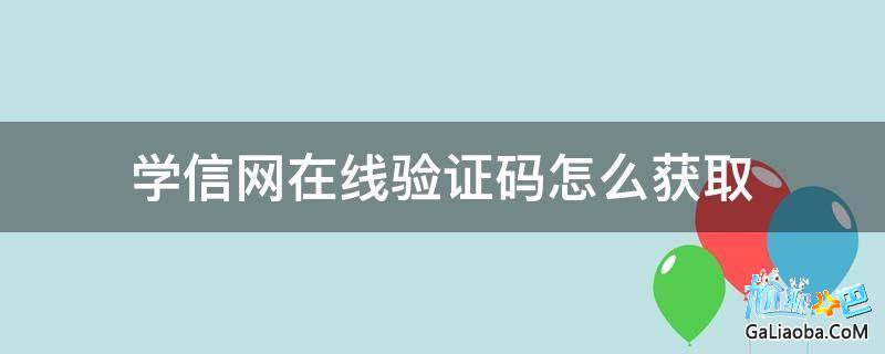 飞机接不到验证码了怎么登陆-飞机接不到验证码了怎么登陆手机