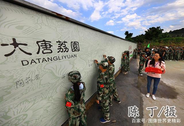 电报猴原声无消音大唐的简单介绍