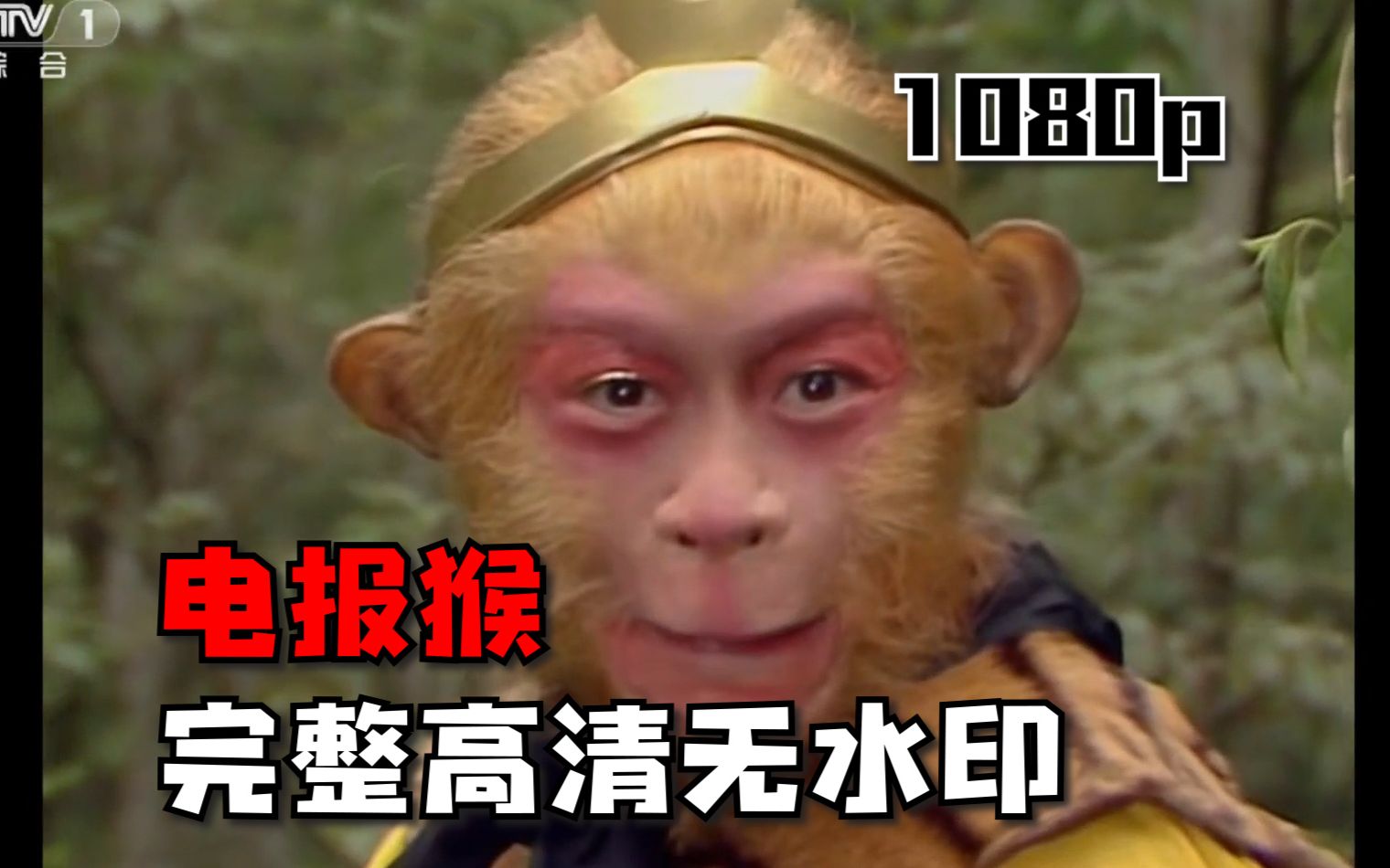 电报猴哥盒-电报猴高清视频