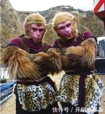 西游记电报猴无电音的简单介绍