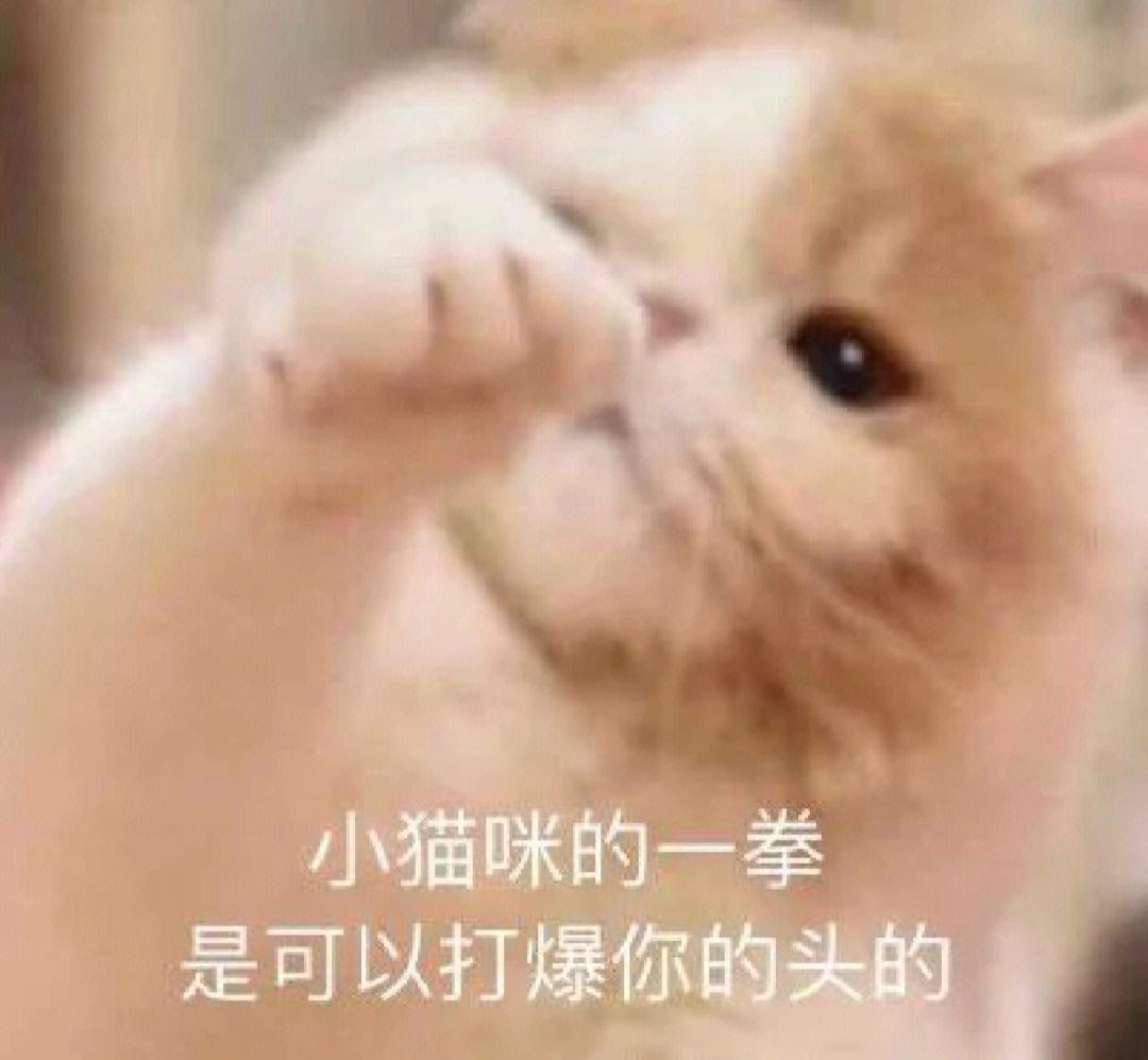 包含电报猿骂人原视频的词条